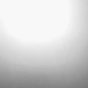 Meet your Posher, Tori